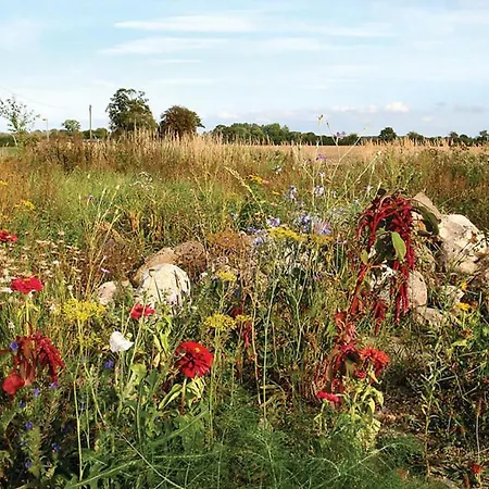 Lovely In With Wifi Vakantiehuis *