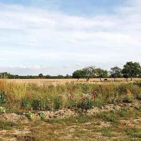 Lovely In With Wifi Beiershagen