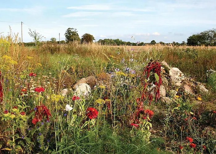 Lovely In With Wifi بيت للعطل *