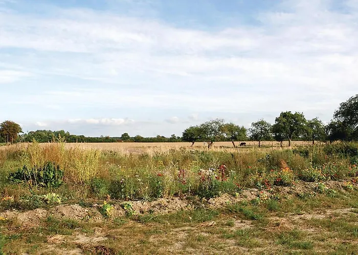 Lovely In With Wifi Beiershagen